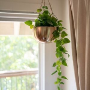 Artificial Hanging Indoor Greenery